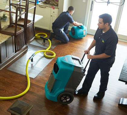 Dehumidifier